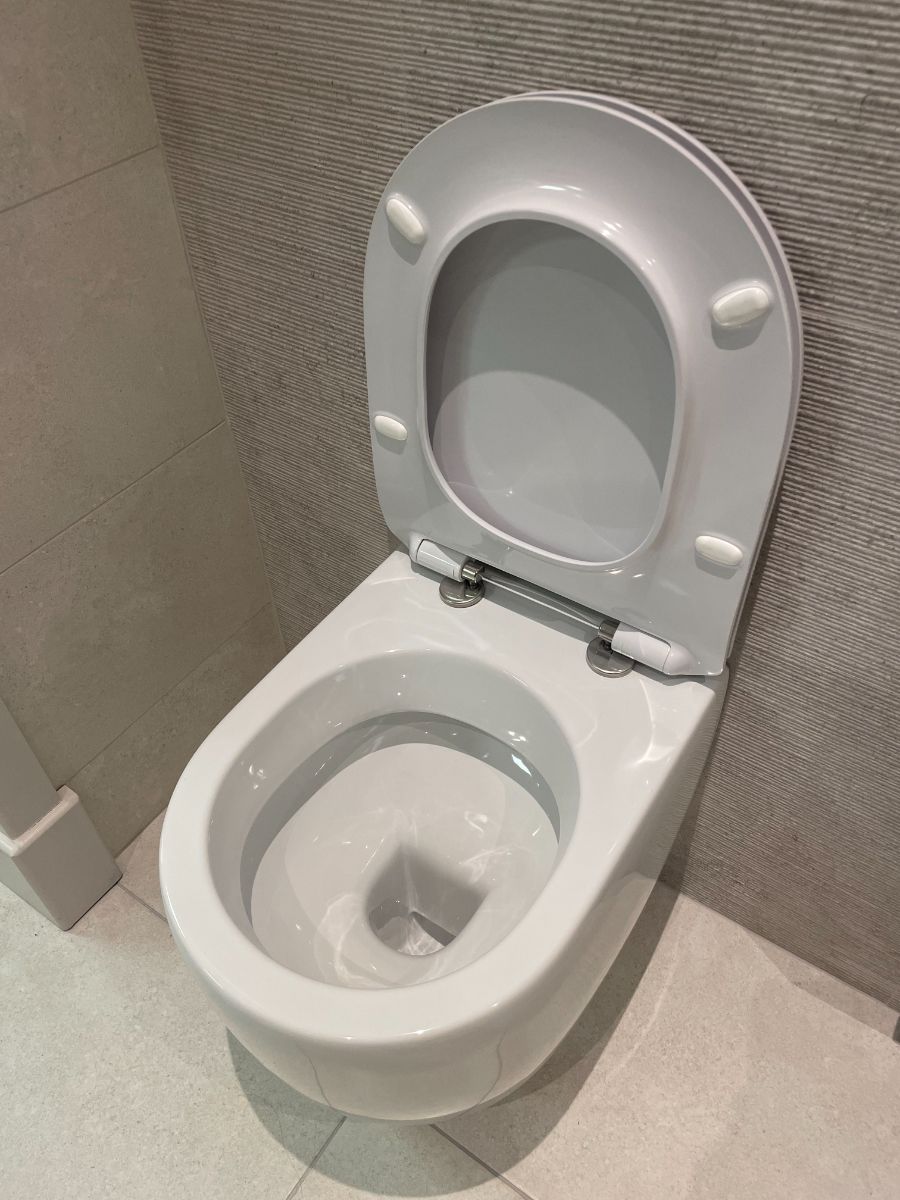 Flo Back to Wall WC and Soft Close Seat 2